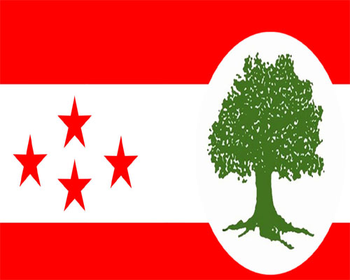 नेपाली काङ्ग्रेस आठबिस नगरपालिका मेयरमा ८ जना सिफारिस र उपमेयर ५