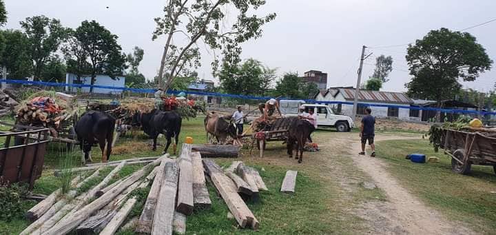 बर्दगोरियामा सालको गोलिया सहित ३ जना पक्राउ