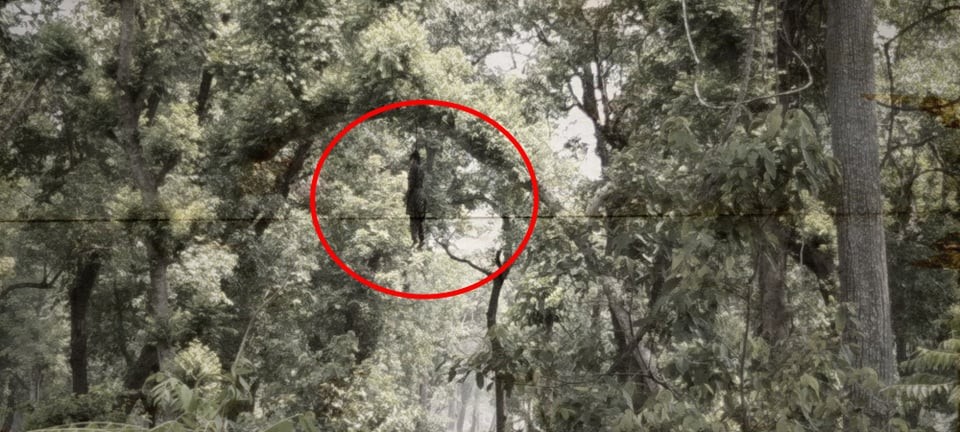 घोडाघोडीमा रुखमा झुन्डिएको अवस्थामा एक महिलाको शव फेला