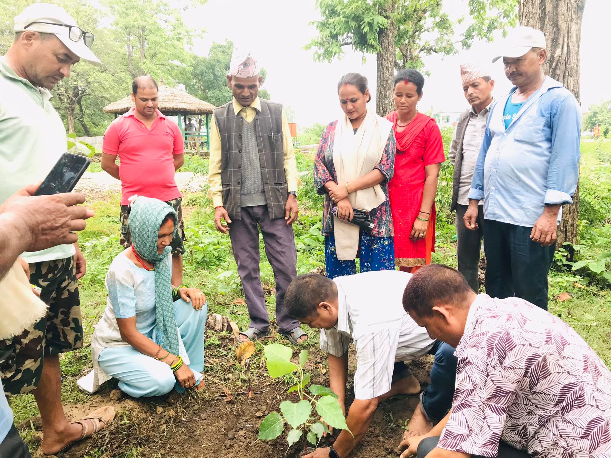 घोडाघोडीका ताल परिसरमा वृक्षारोपण