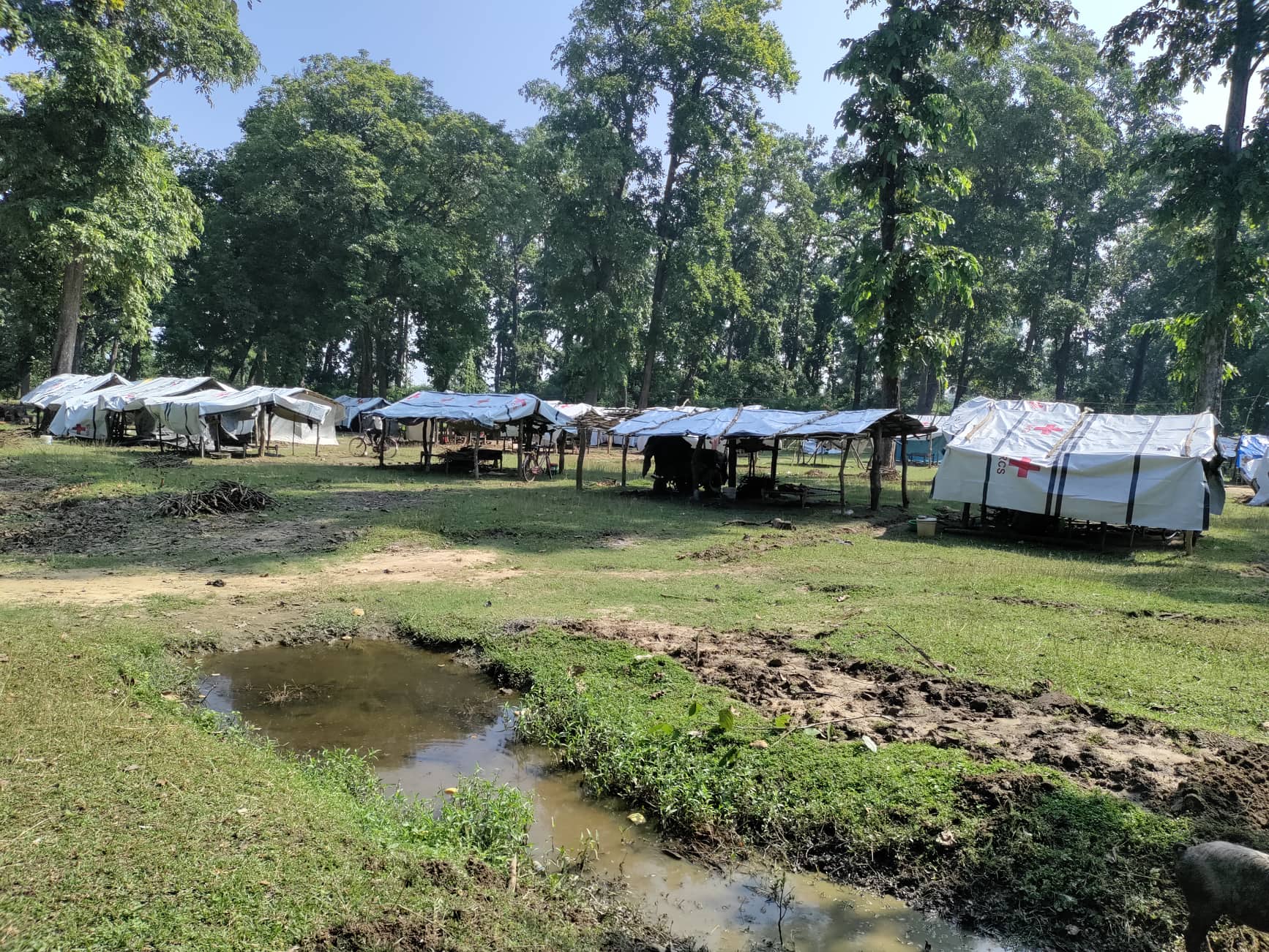 मासिदै जैविक मार्ग,भौतारिदै बन्यजन्तु