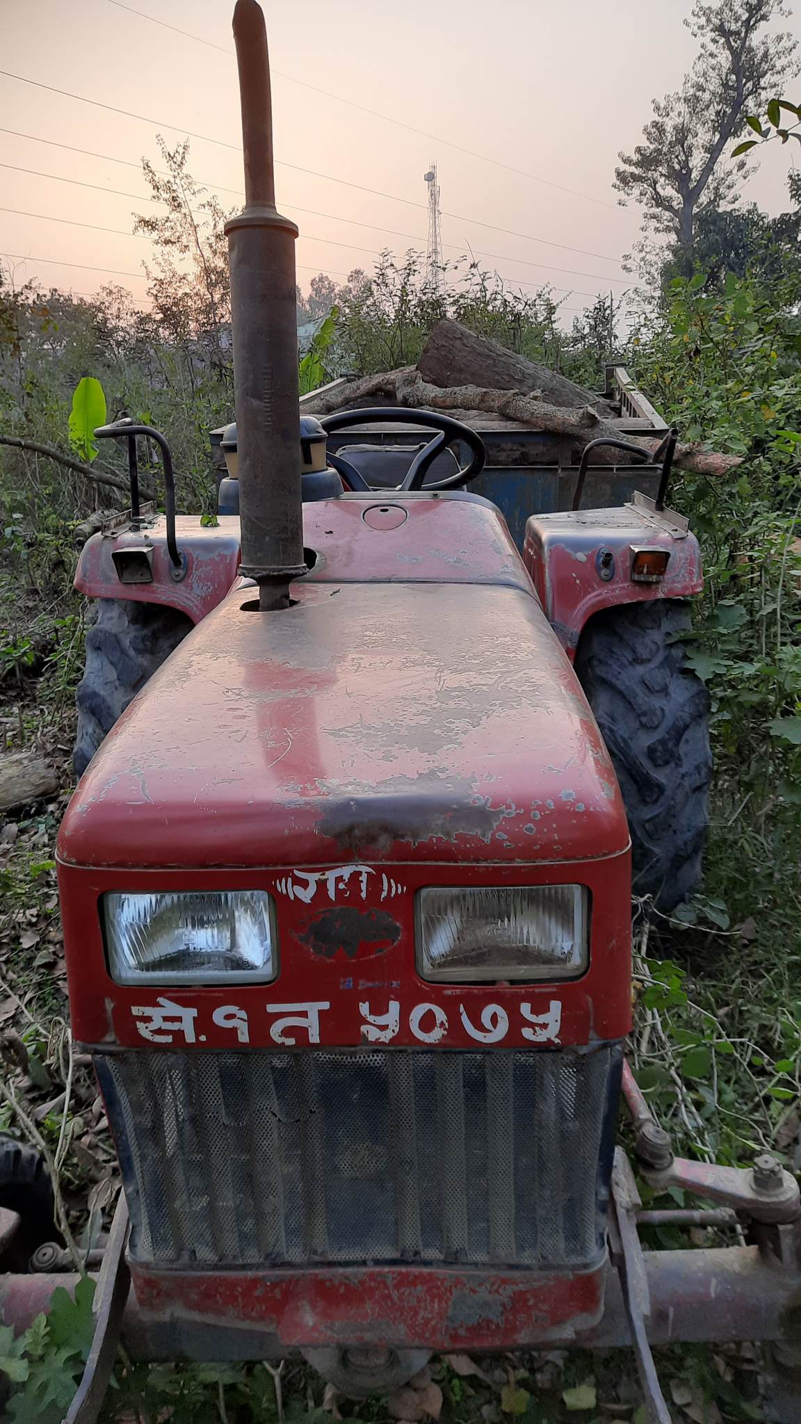 ट्याक्टर सहित सालको गोलिया बरामद