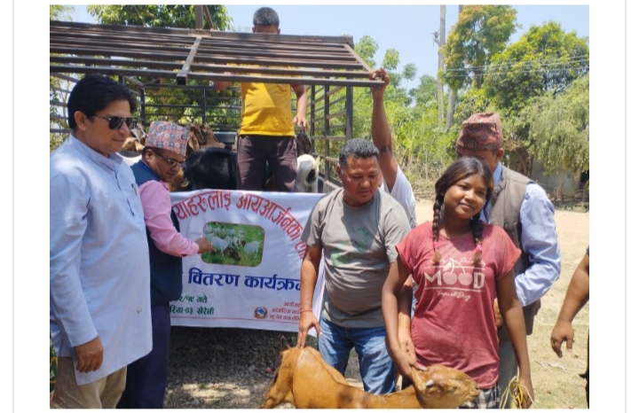 बर्दगोरिया ३,मा मुक्तकमैया तथा विपन्न परिवारलाई बाख्रा वितरण