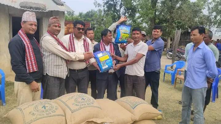 बर्दगोरियाले बाँड्यो ५० प्रतिशत अनुदानमा धानको बिउ