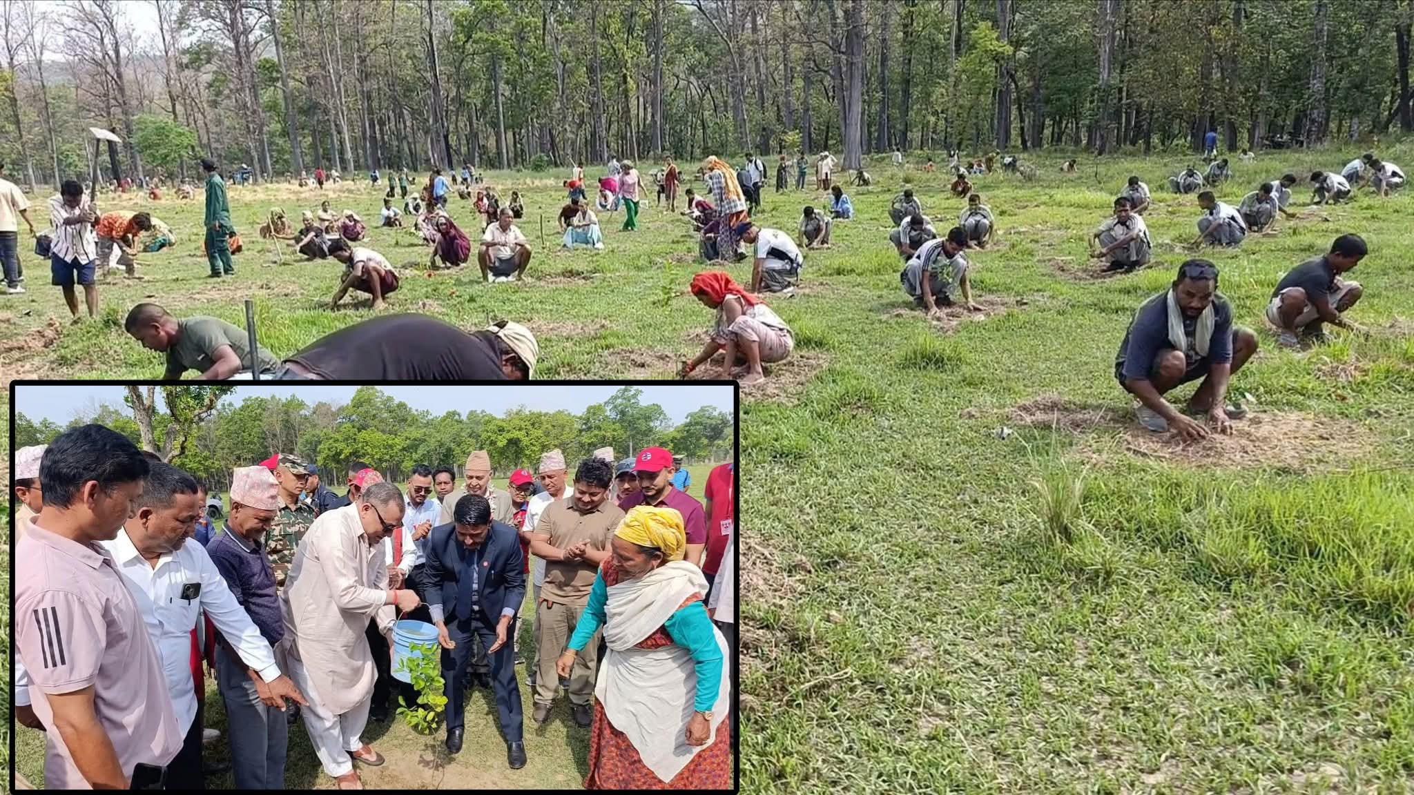 विश्व वातावरण दिवसको अवसरमा बल्चौरमा २ हजार वृक्षारोपण