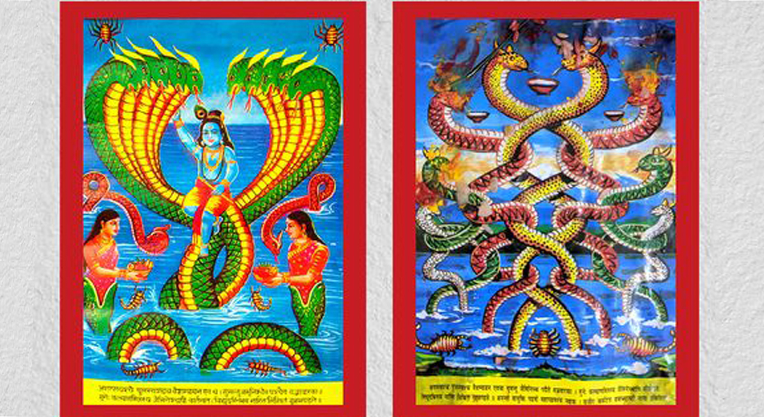 आज नाग पञ्चमी : देशभर नागको पूजा गरी मनाइँदै