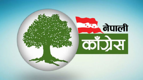 कांग्रेसले टुंग्यायो समानुपातिकका २० सांसद, को–को परे सूचीमा?
