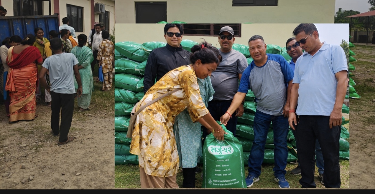 बर्दगोरियामा ५० प्रतिशत अनुदानमा धानको बीउ वितरण, ३०५ किसान लाभान्वित