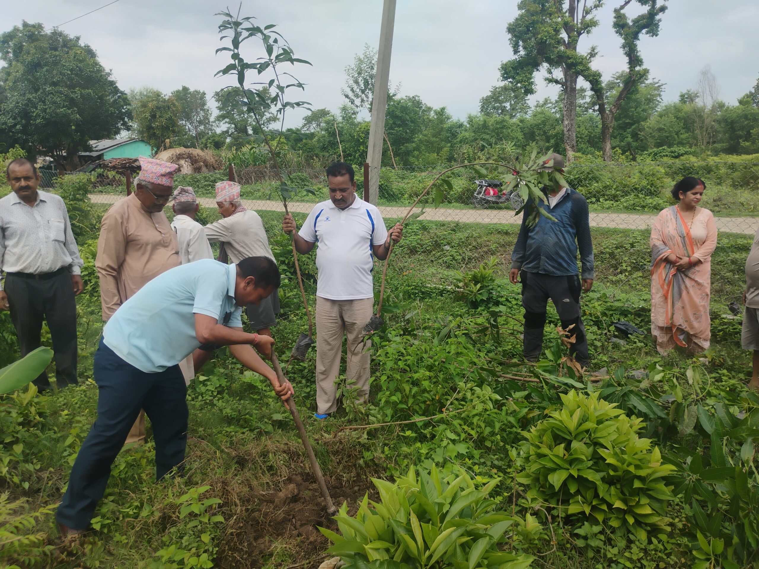 राजकुला सामुदायिक वनमा रोपिए ३ सय बढी फलफूलका बिरुवा