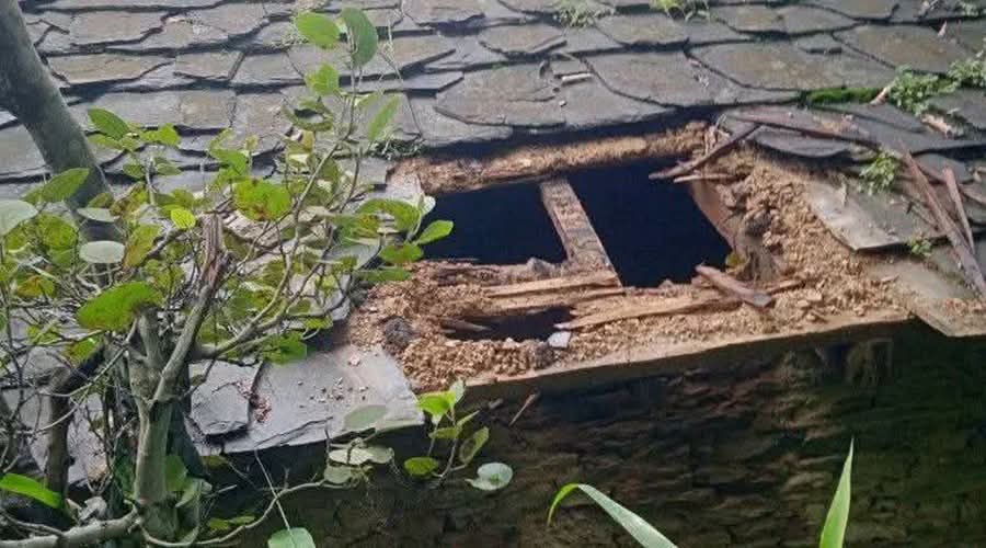 बैतडीमा चोरीको आरोपमा वडा सदस्यसहित चार जना पक्राउ